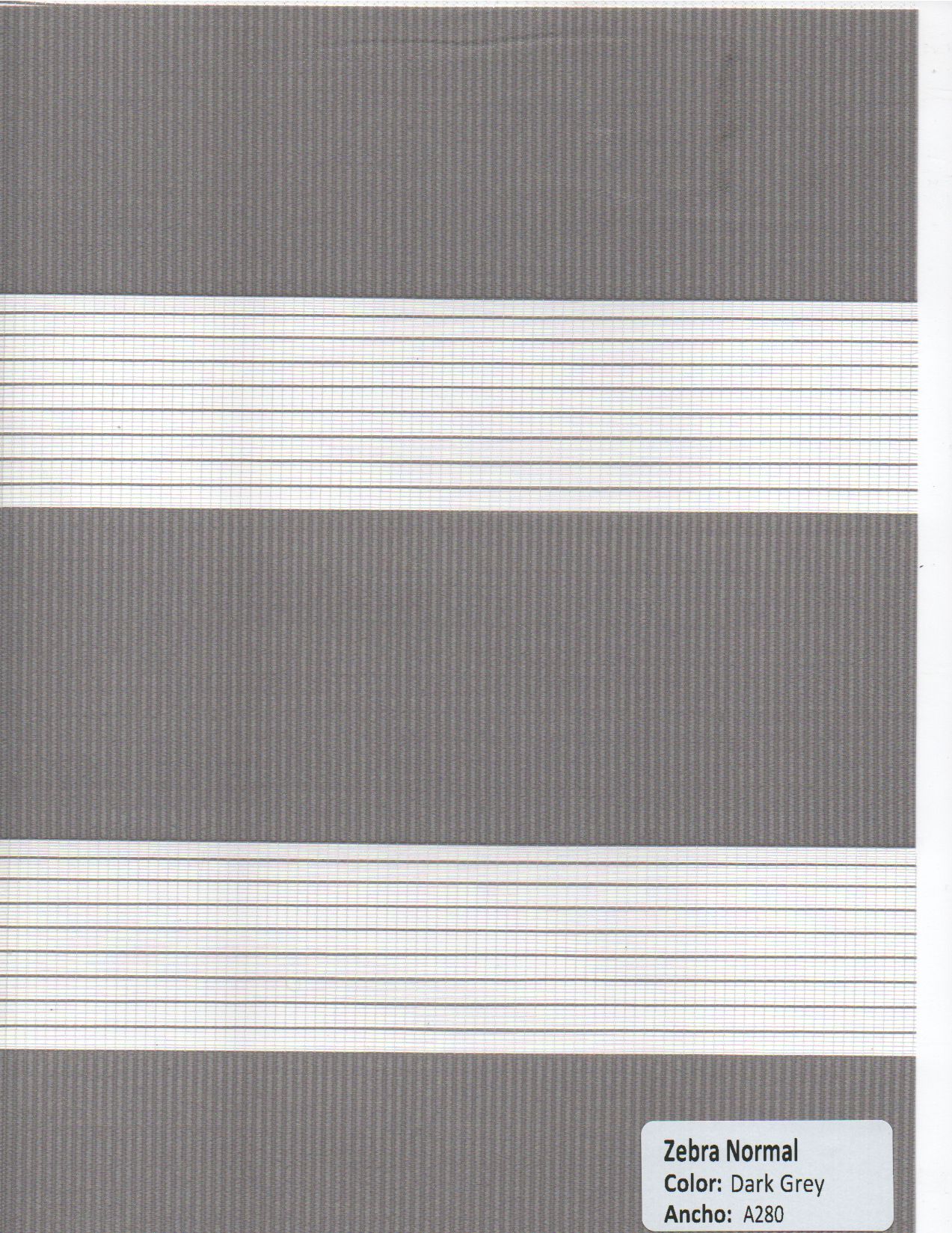 Zebra Normal Brown